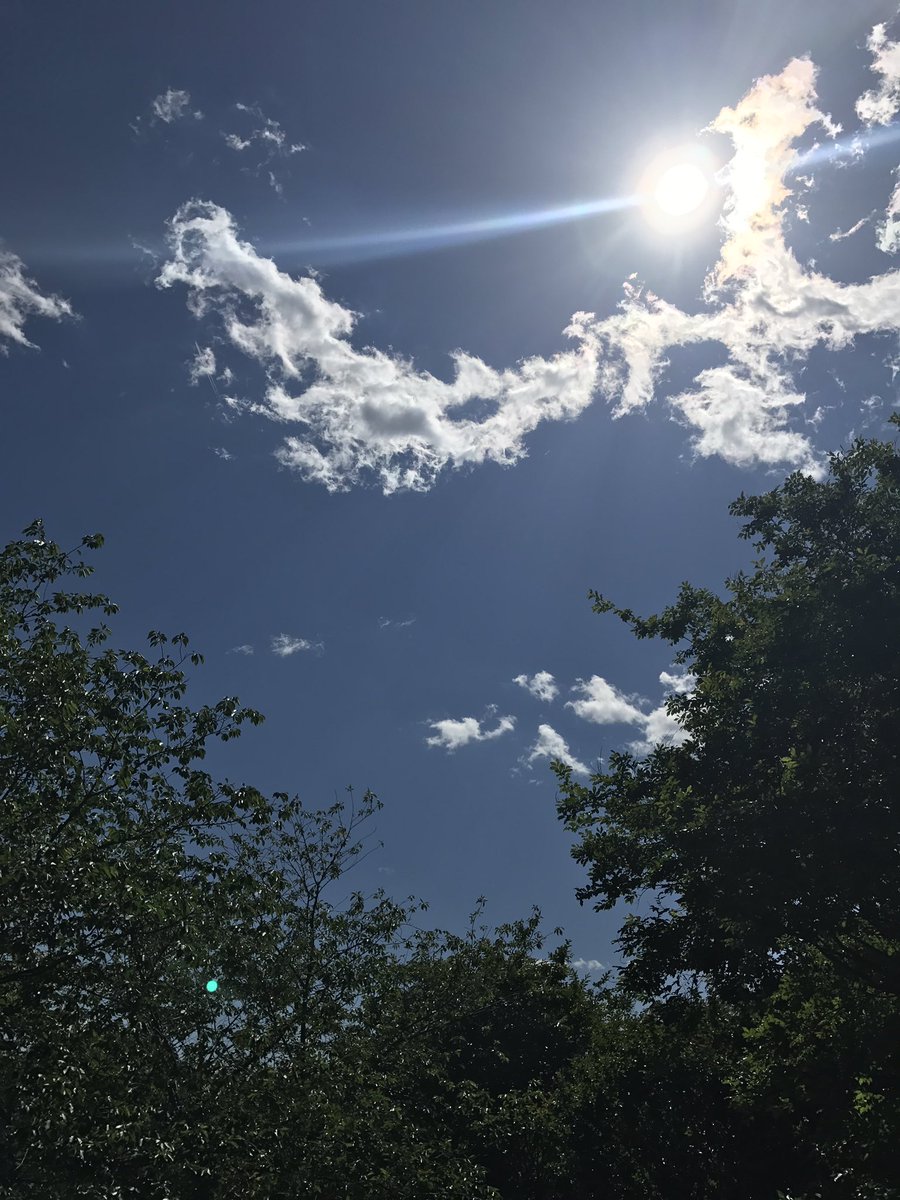 SunnieEwing's tweet photo. Not our typical first day of Beale Street Music Fest! #MemphisBlueSkies #NoSirens #HappyCincoDeMayo #BSMF17 https://t.co/5ftlMv5WtX