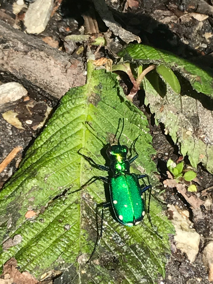 Caseywhosthat's tweet photo. Help me. What Is this .
@NutmegSomething  #Bio120Sp17 https://t.co/C7GZsLEUca