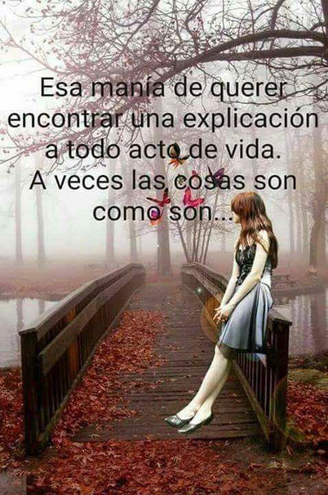 Nereida_70's tweet photo. https://t.co/qtQUdh3RwX
