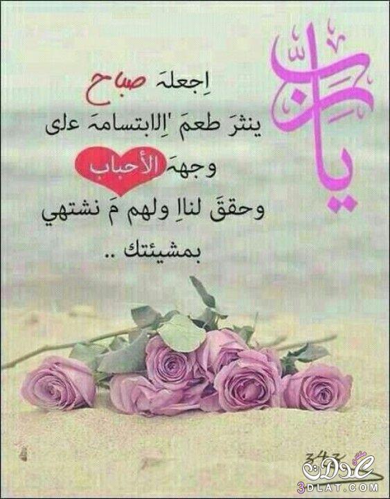 عنيده وبكيفي (@ass4112) on Twitter photo 