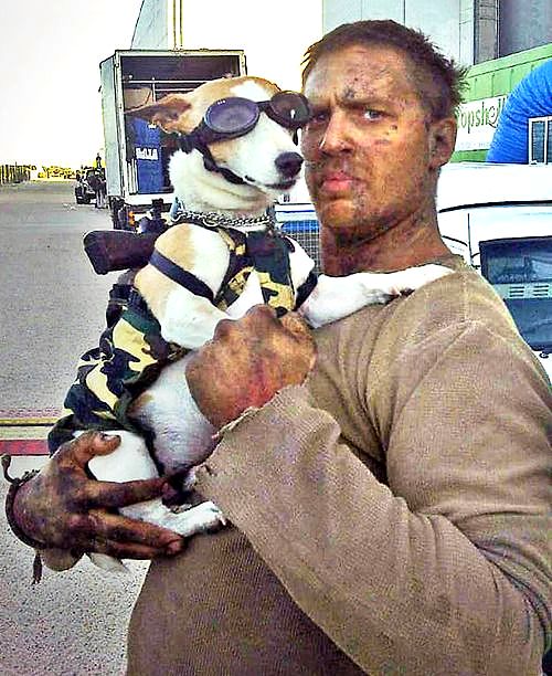 O Xrhsths こぜね Sto Twitter 消防士が制服のまま食事をしているのはおかしくないけど トム ハーディがマッドマックスの衣装のまま 犬を抱いてるのは 犬の格好も相まってやっぱりおかしい