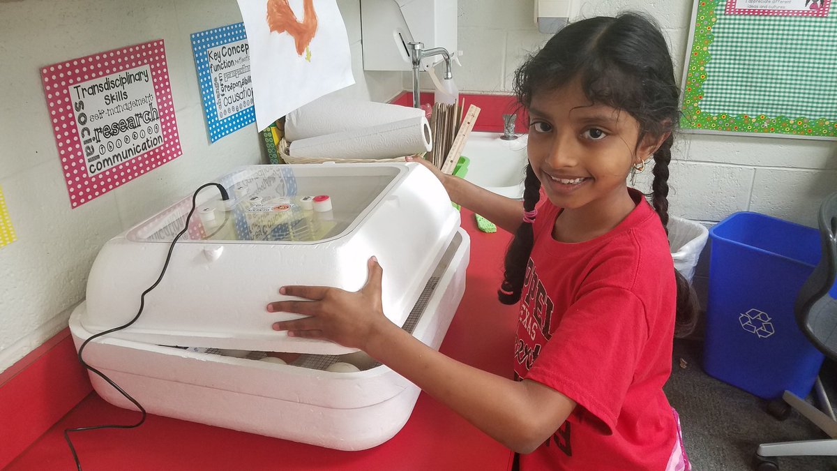 gdentonpink's tweet photo. We are halfway to hatch day! #2Adiscovers #teampinkcisd #eggcitingscience https://t.co/t8FSu6D4zz
