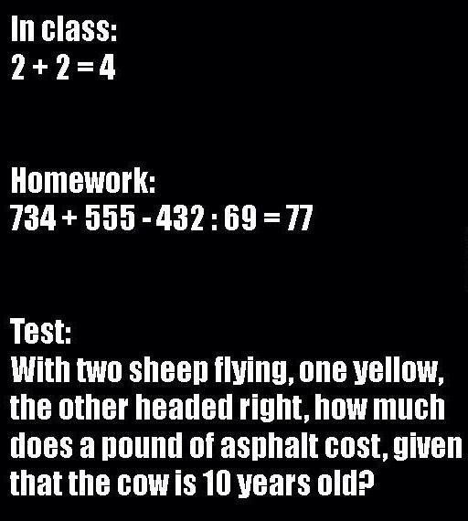 CauseWereGuys's tweet photo. School be like https://t.co/xDIHiLXHyu