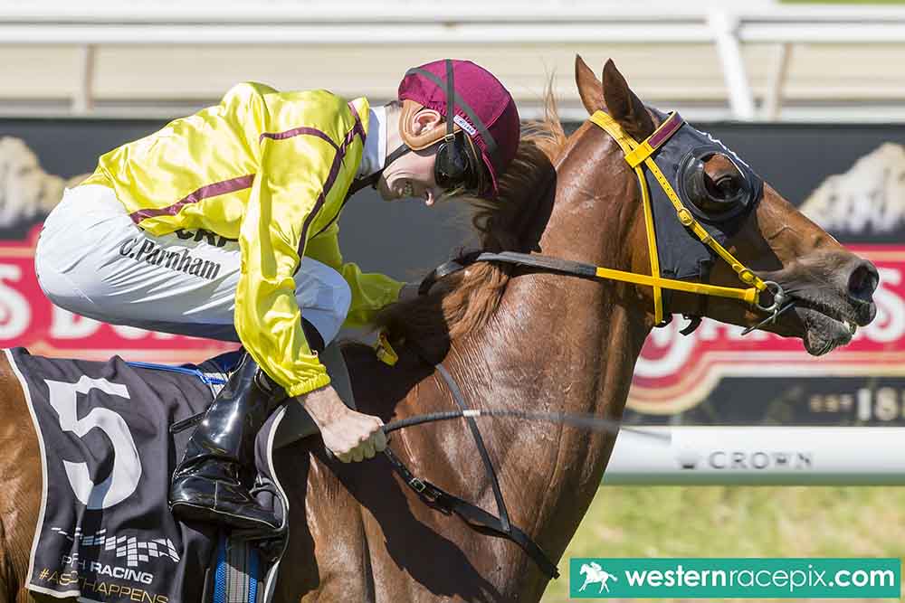 PerthRacing's tweet photo. Good luck to a couple of our WA stars who run today in different corners of the country!
#MalibuStyle #Sheidel https://t.co/LQ58bad7z1