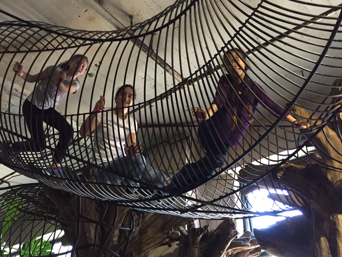 MSG6StLouis2017's tweet photo. Having a great time at the City Museum! #WeAreSacredHeart #MSG6 https://t.co/A9l85nF7rU
