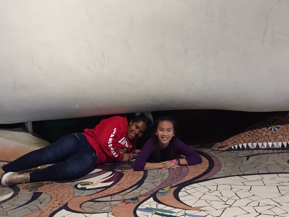 MSG6StLouis2017's tweet photo. Having a great time at the City Museum! #WeAreSacredHeart #MSG6 https://t.co/A9l85nF7rU