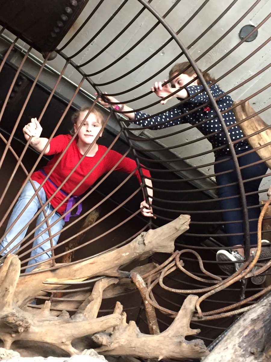 MSG6StLouis2017's tweet photo. Having a great time at the City Museum! #WeAreSacredHeart #MSG6 https://t.co/A9l85nF7rU