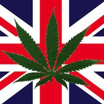 DaMaCollective's tweet photo. Queen Victoria's physician prescribed cannabis! https://t.co/fbQr62tc7U #educateyourself #UK #history #DissolveTheStigma #420 #relegalizeit https://t.co/WYPzekstwZ