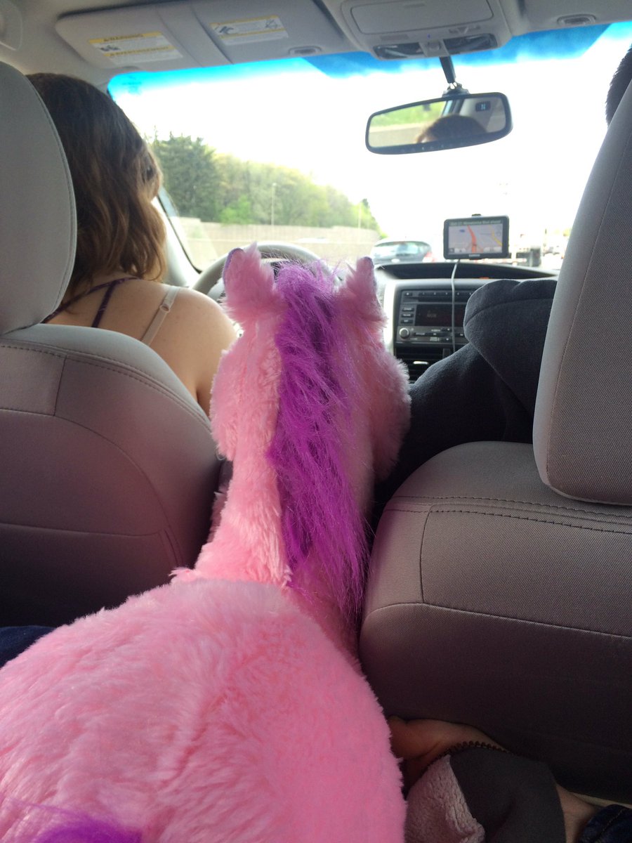 briananabe's tweet photo. Wherever we go uni goes with us #roadTrip #drunkunicorn https://t.co/i1zjs16fuD