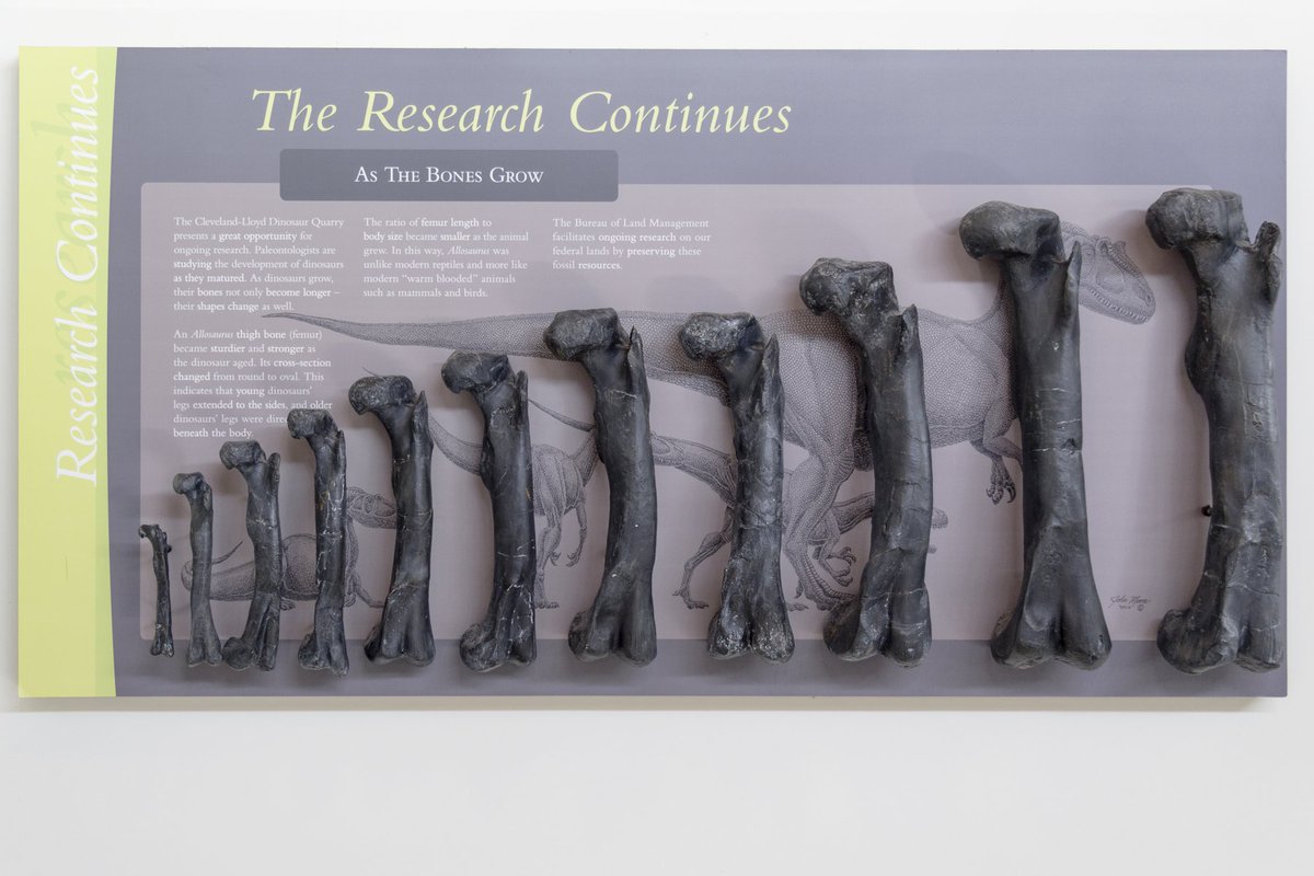 71 Jaket Ouval Rsch Terbaru 2017 Gratis Terbaik