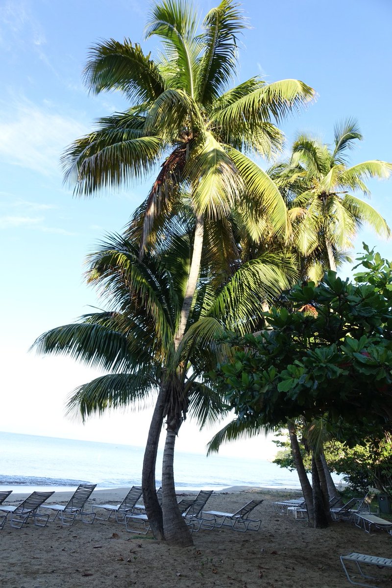Receive points and rewards with every stay with our #IPrefer program! Become a member now at ow.ly/ZzbJP