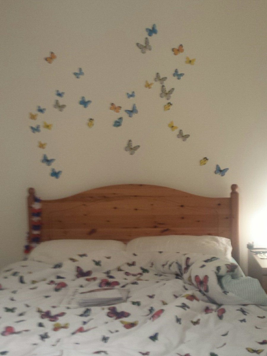 MorganDalgleis6's tweet photo. Butterflies world.  For my biggest fan harry styles. https://t.co/z5Sf00i23N