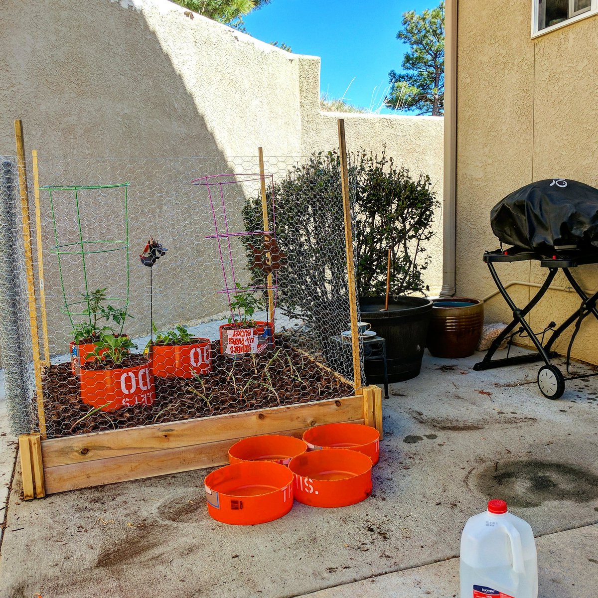 Alex Libin tweet media