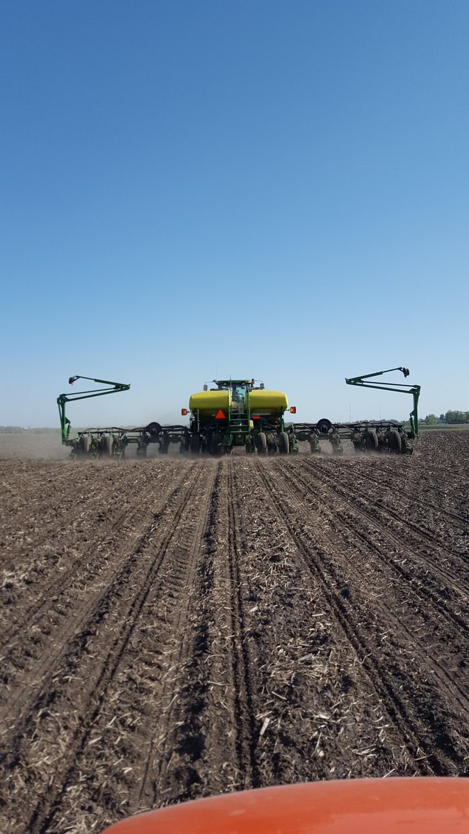 rwhitney11's tweet image. #spring2017 #cornplot #mumfarms