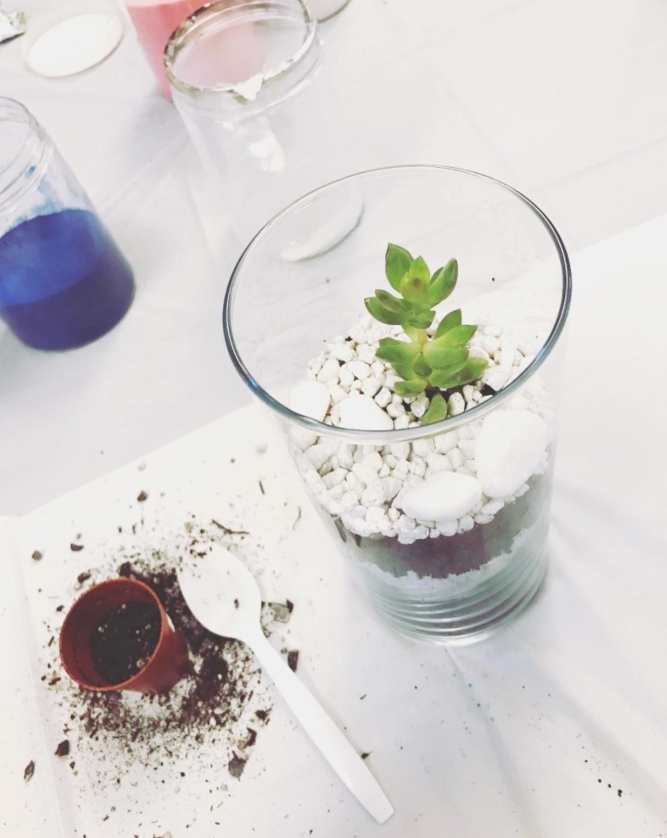Want to test out your green thumb? Grab a spot in our next terrariums class! bit.ly/SPTerrariums2