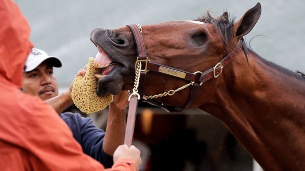 Yahoo News tweet media