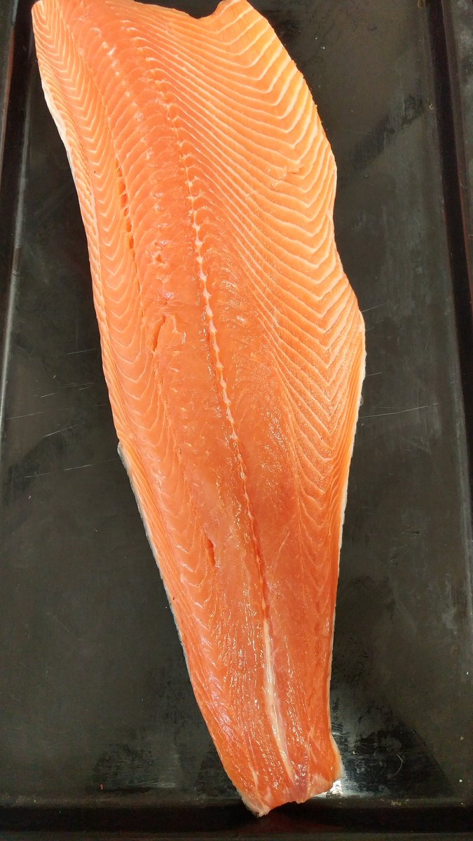 SaslovesMeatW's tweet photo. Friday fish day #Ottawa 🐠🐡🐟 https://t.co/rjQg69hxgX