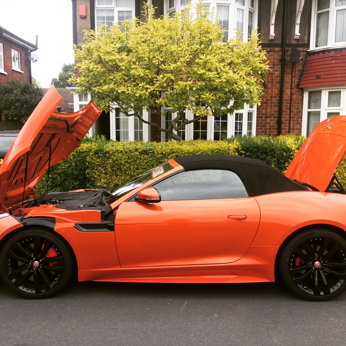 Stephen Smith (@stephensmith_4) on Twitter photo 