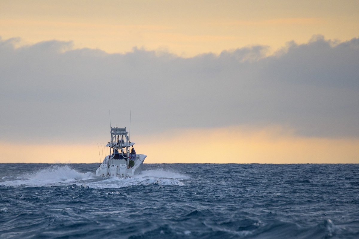 Closing out the week #intotheblue #boats #sunset #ocean #fish #fishing #saltwaterfishing #fishingshow