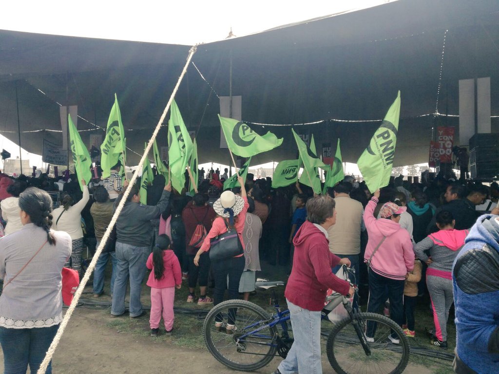 PNM_EDOMEX_'s tweet photo. Las Banderas Verdes de @PNM_EDOMEX_ continúan #FuerteYConTodo en apoyo a @alfredodelmazo en el mitin de Toluca. #PNM #SomosPRI @PRI_EDOMEX https://t.co/qXjWGTue7J