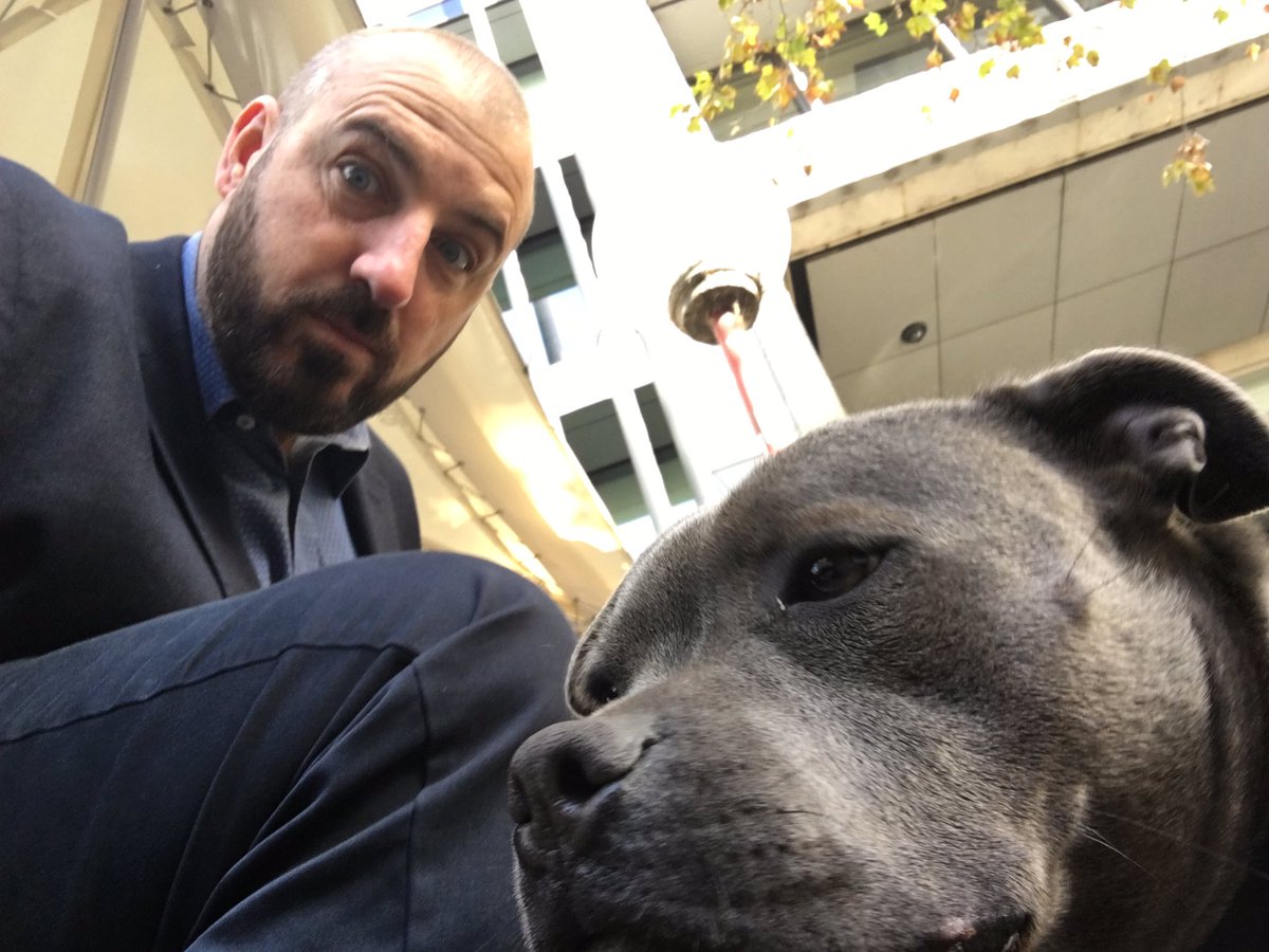 Jabba (@jabbatron) on Twitter photo <a href="/sunriseon7/">Sunrise</a> before 10 I'll review <a href="/adogspurpose/">A Dog's Purpose</a> with help from my mate Pepper. <a href="/eOnefilms/">eOne Films Canada</a> <a href="/sunriseon7/">Sunrise</a> before 10 I'll review <a href="/adogspurpose/">A Dog's Purpose</a> with help from my mate Pepper. <a href="/eOnefilms/">eOne Films Canada</a>