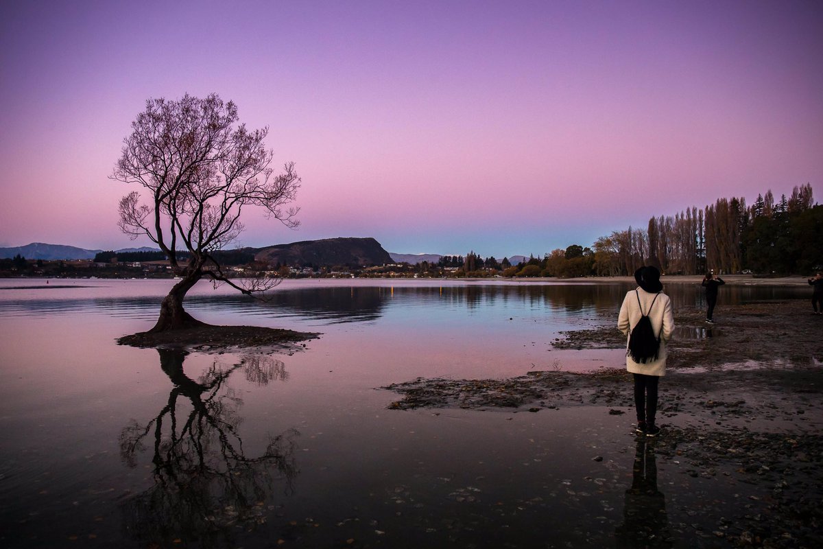 michaelvettas's tweet photo. Bye Bye Wanaka, off to MilFordandSons for the next week, if I get there hahah #thewanakatree #purenewzealand #VettasInNZ #illbebacksoon https://t.co/HgLDXFkkUI