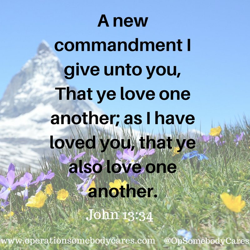 OpSomebodyCares (@opsomebodycares) on Twitter photo 