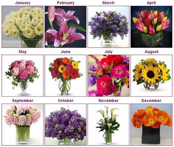 Maximize your #flowerbudget by using #inseasonflowers!  Check out this handy guide from @bridalguidemag bit.ly/2pG7FWO