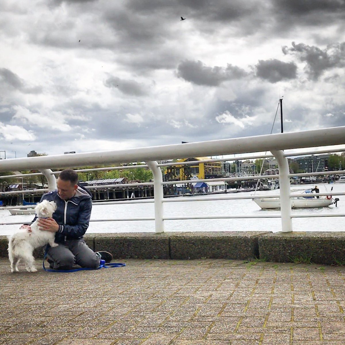 JoshRimer's tweet image. Back in Vancouver and doing some dog walking along the Seawall. I sure love this city. ⛅️🌊🐶
