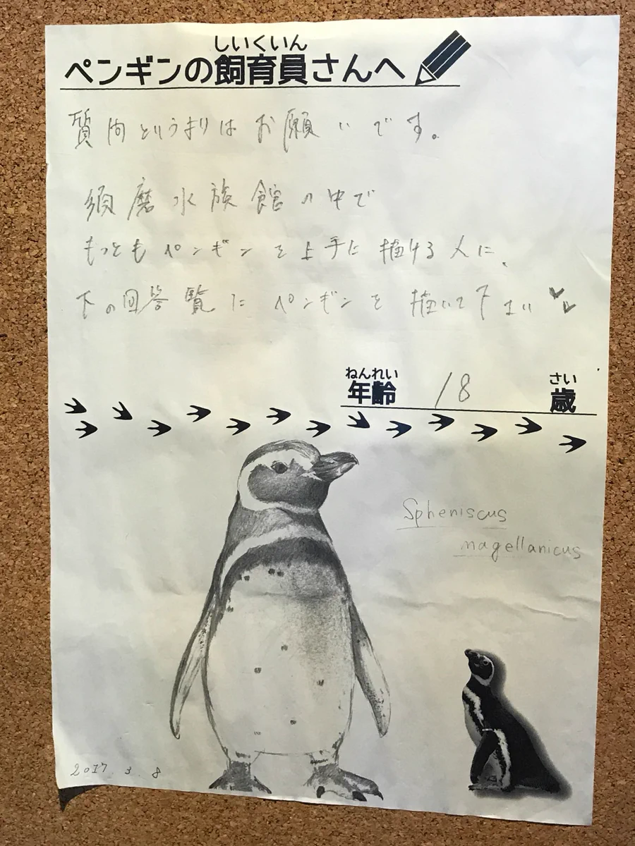 ペンギンの絵うますぎww飼育員さんの本気が伝わってくるww
