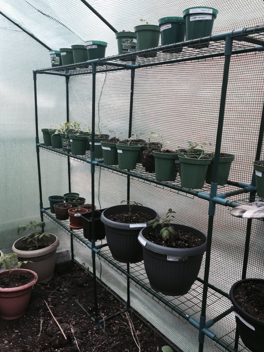 drjoend's tweet photo. Dr.Joe planting potatoes & prepping veggie plot for plants #drjoend #yycgarden #wholefood #healthyeats https://t.co/BANQGvokvd