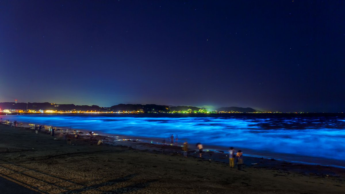 maxakisan's tweet photo. 【光の海(Shining sea)】
夏は花火、冬はオーロラ、初夏は蛍。夜に輝く主役たちはいくつもありますが、珍しく夜光虫の海。海に天の川が落ちてきたような美しさ。オーロラより珍しいらしいです。2017/5/5 鎌倉 https://t.co/x5lyvNynqZ