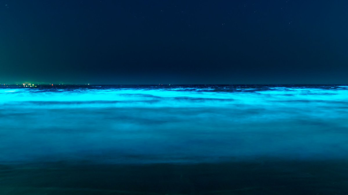 maxakisan's tweet photo. 【光の海(Shining sea)】
夏は花火、冬はオーロラ、初夏は蛍。夜に輝く主役たちはいくつもありますが、珍しく夜光虫の海。海に天の川が落ちてきたような美しさ。オーロラより珍しいらしいです。2017/5/5 鎌倉 https://t.co/x5lyvNynqZ