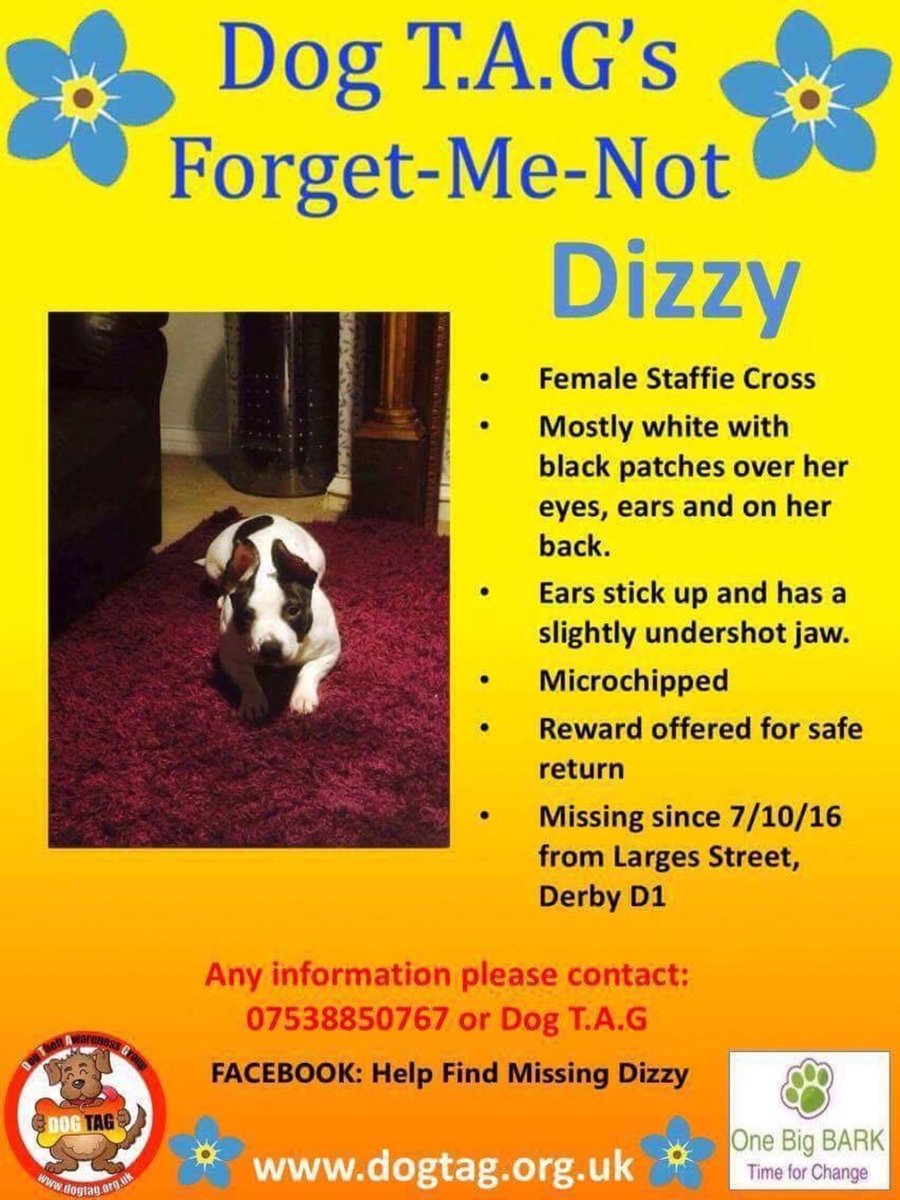 LostDogAlertUK's tweet photo. I just supported #FindDizzy on @ThunderclapIt // @DogTAGMids https://t.co/gSLYdMos2q https://t.co/ekZhfNracL