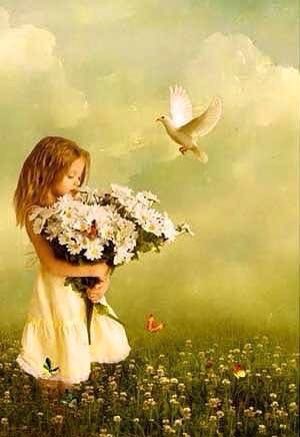 Елена Петрова (@_3608768981612) on Twitter photo 