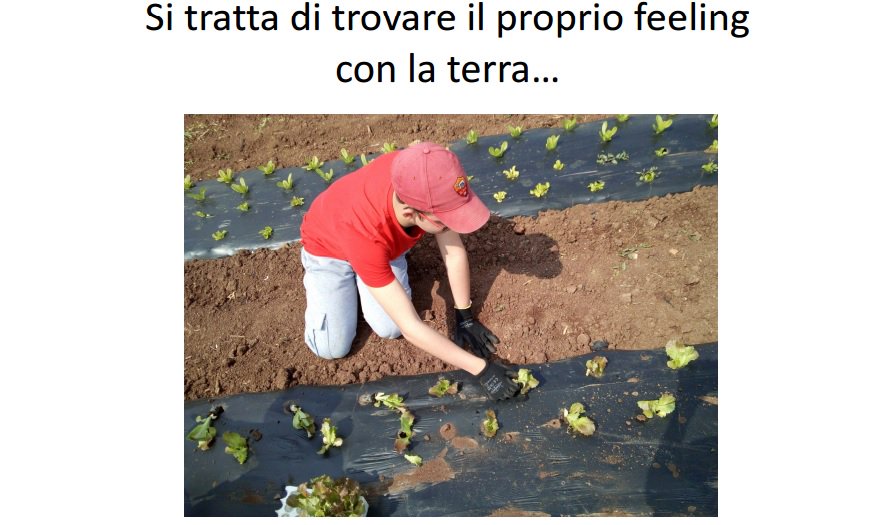 L'#AgricolturaSociale e il nostro progetto Campi Aperti, con le parole di chi ci lavora al nostro fianco
lanuovaarca.org/il-respiro-del…