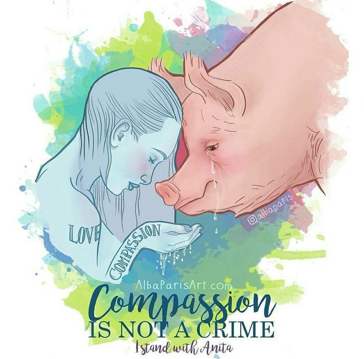 cortneypalm5's tweet image. Judge acquits woman who gave water to pigs headed to slaughter /via @globeandmail theglobeandmail.com/news/national/…+ #PigTrial #IstandwithAnita