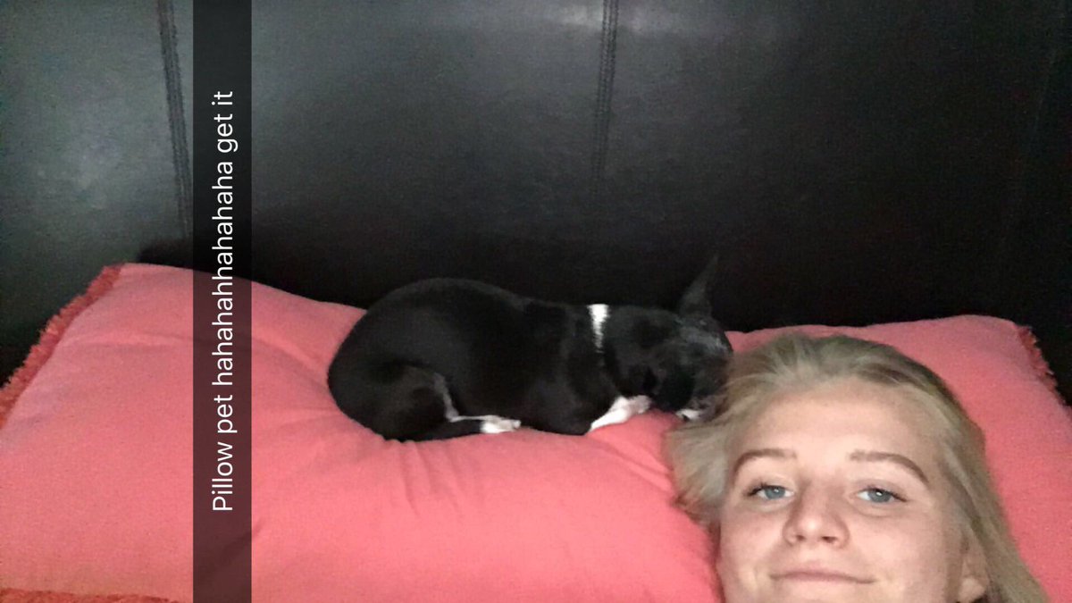jamie___bryant's tweet photo. Rest In Peace my sweet baby girl. Thanks for growing up with me these past 14 years, Iz! Keep all of us straight watching from Heaven 👑💖 https://t.co/6PhPg7Gc94