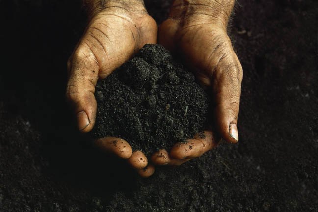 When we say black land is a site of black resistance, what do we mean? Try these questions on for size: blacklandproject.org/deck