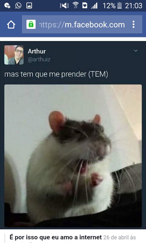 RaylaPDasilva1's tweet photo. Kkkkkkkkkkkk https://t.co/EXPWpUB2Ne