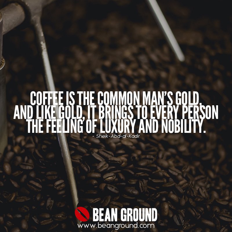 #coffee #coffeeblog #coffeelover #coffeeaddict #hariov60 #chemex #coldbrew #aeropress #frenchpress #barista