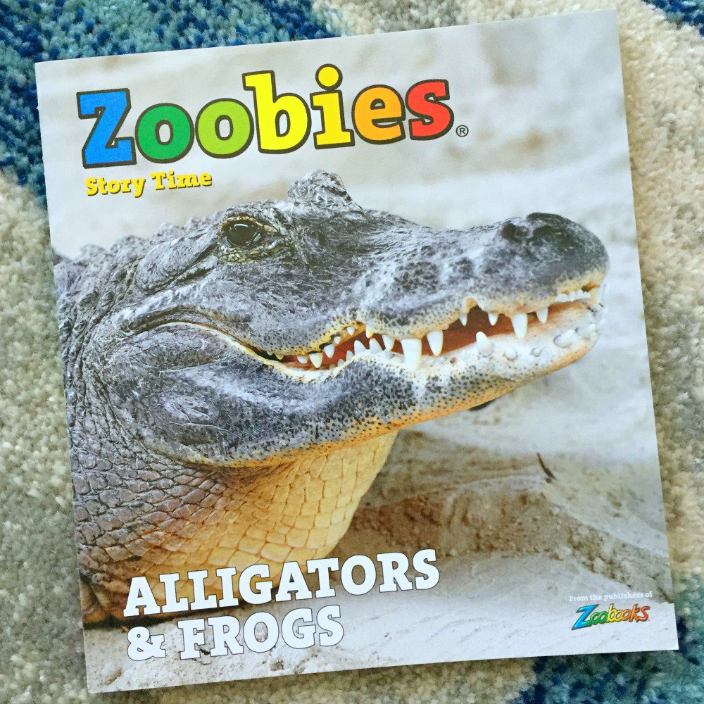 Enter to win a @Zoobooks magazine subscription! tinyurl.com/kpo3bvd #kidsmagazines #booksforkids #magazinesforkids #giveaway #win