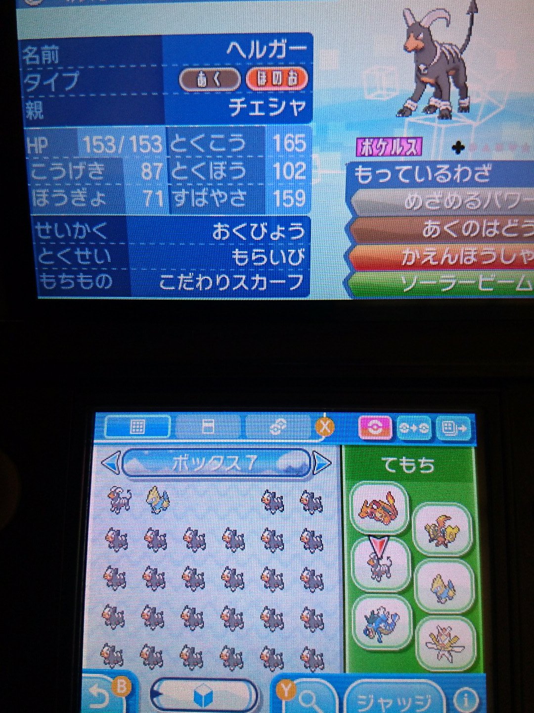 海 坊主 アニメ ゲーム好き No Twitter ポケモンサンムーン 技構成とpt構成見てたら何となくおいどんが何がしたいのか分かってくるはず Ww ギャラドス ライボルト ナットレイ 晴れパのぱくり 何となくビースト1体 カプ一体ptに入れたかった笑笑 炎 電気