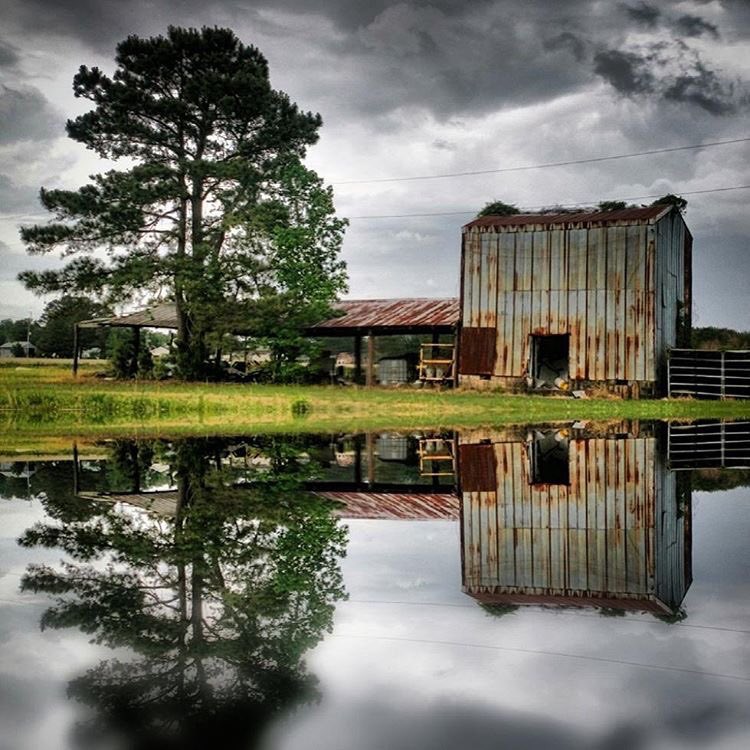 NorCakSoul's tweet photo. Farm Life 📷: @bazzzmaniandevil #ruralnc #searchandenjoy #norcak https://t.co/LmJdASm82u