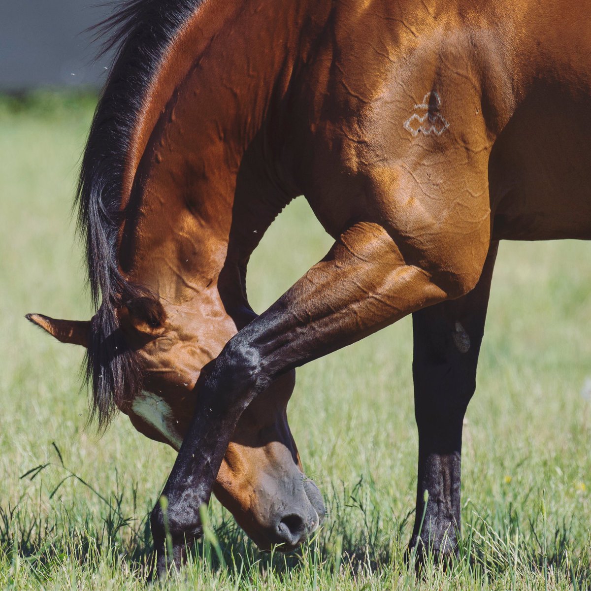 Vicky Leonard tweet media