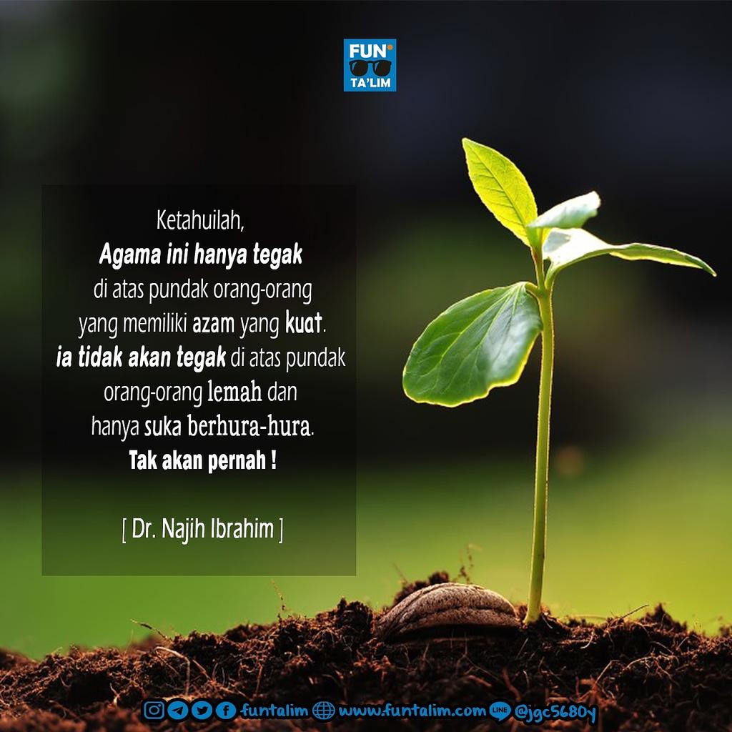 Agama ini tidak akan tegak di atas pundak orang-orang yg lemah. Tidak akan pernah! instagram.com/p/BTvcuJzjRYB/