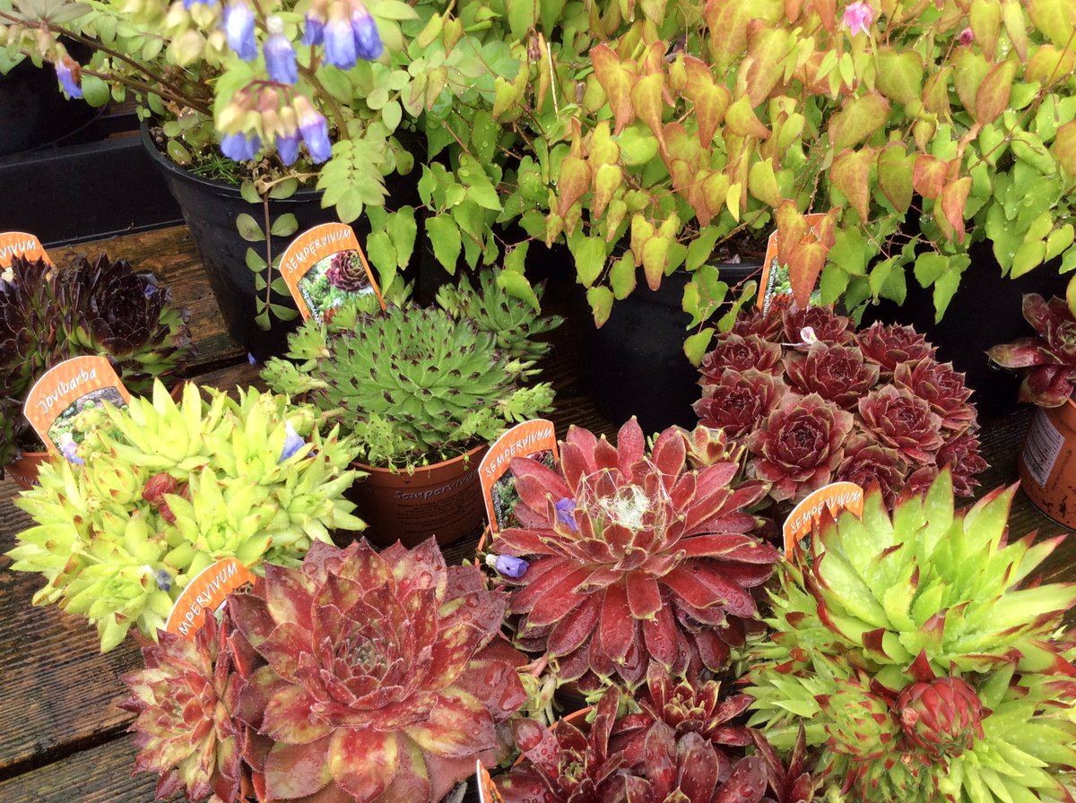 Zien wij u vandaag op de Groenmarkt bij het Omnium? Wij zijn er ook