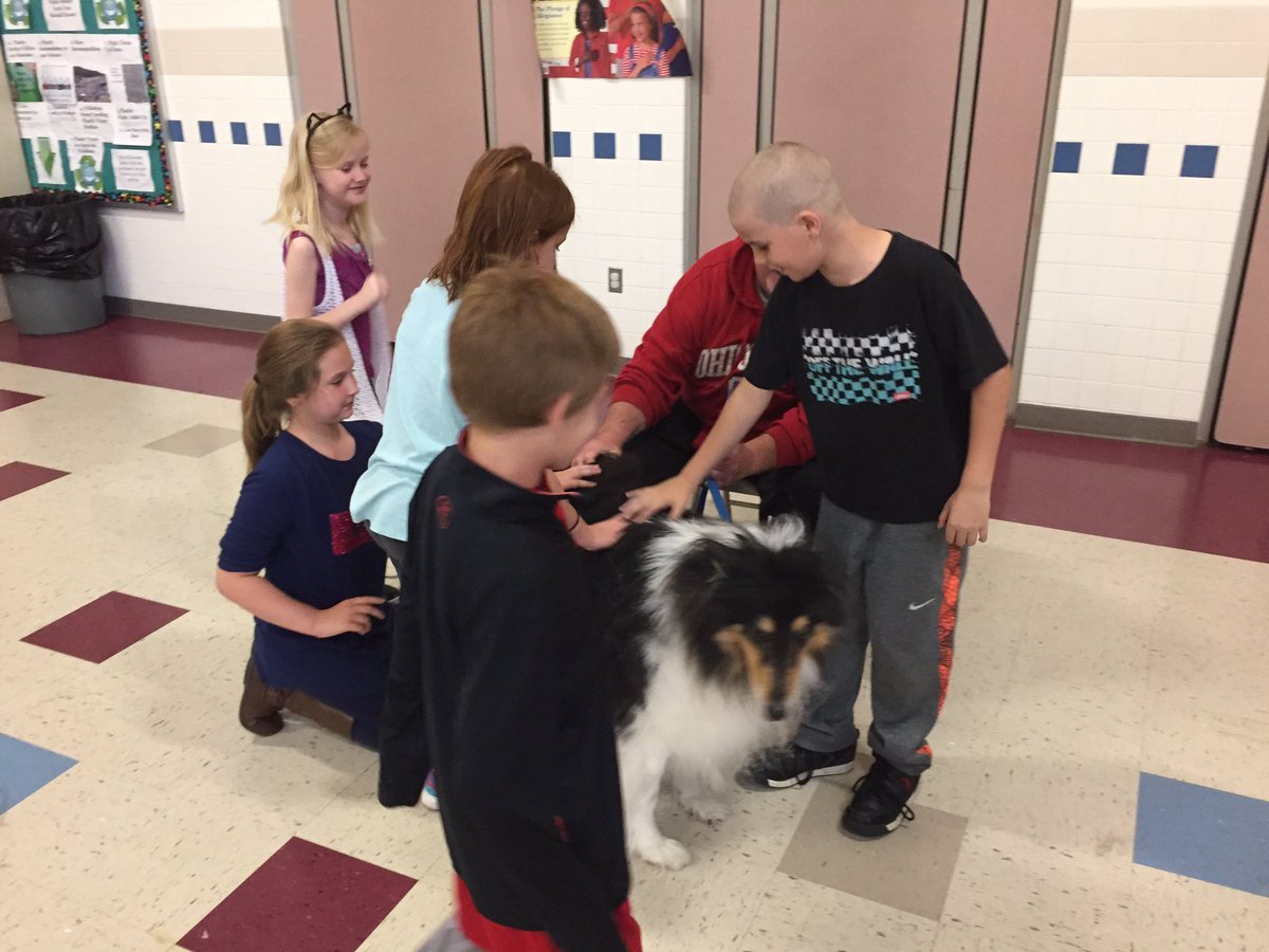 Mrs_Misera's tweet photo. Therapy dogs came to visit today!  Yay!!! https://t.co/5ZrIuiSguA