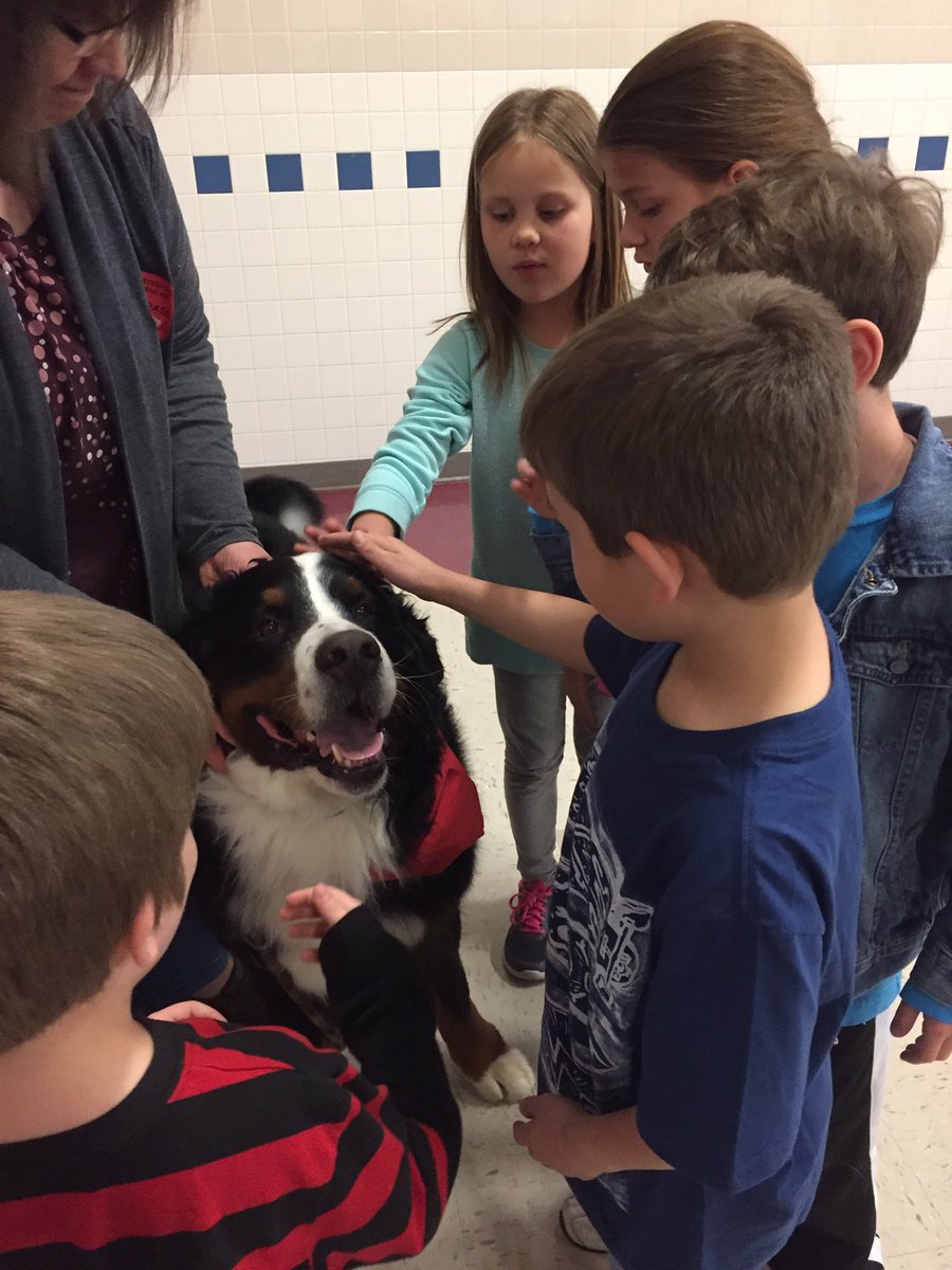 Mrs_Misera's tweet photo. Therapy dogs came to visit today!  Yay!!! https://t.co/5ZrIuiSguA