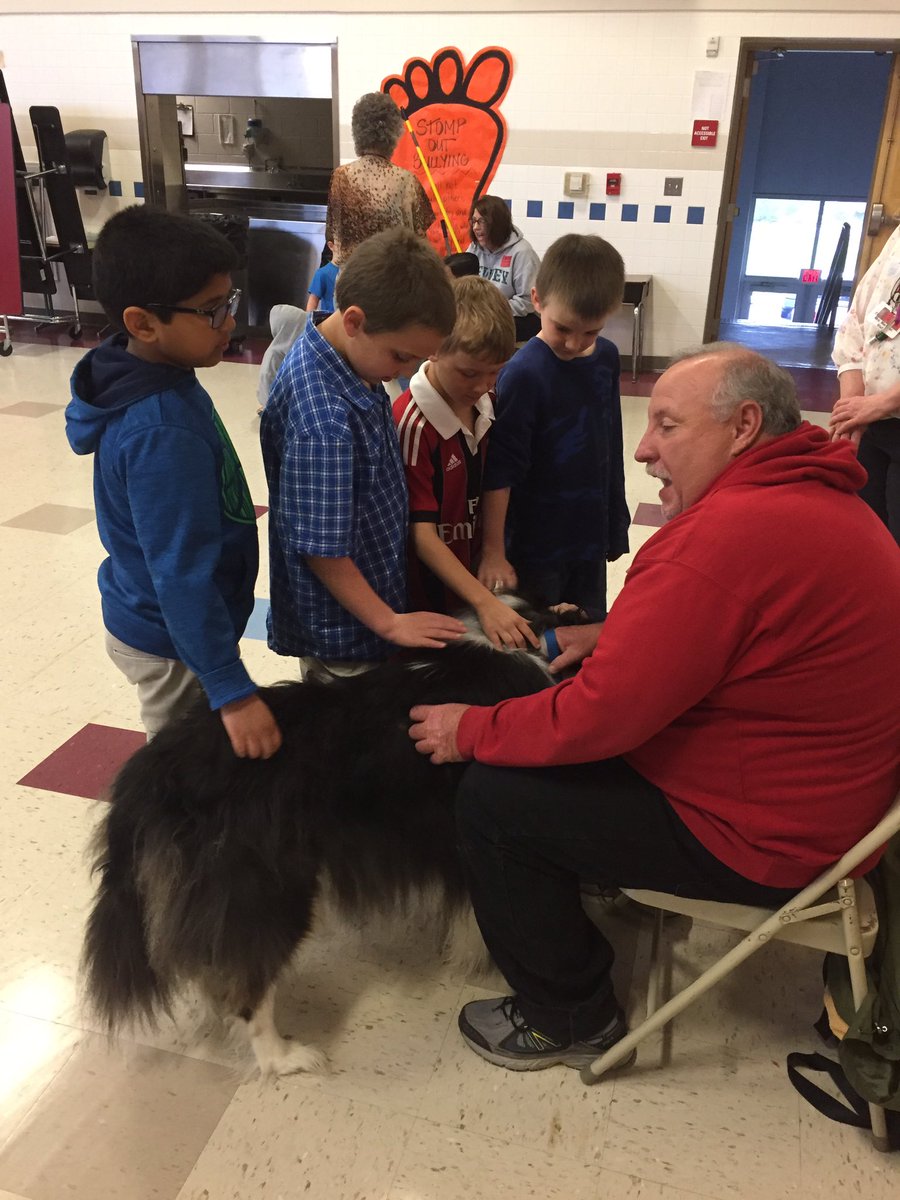Mrs_Misera's tweet photo. Therapy dogs came to visit today!  Yay!!! https://t.co/5ZrIuiSguA